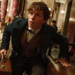 fantastic-beasts-and-where-to-find-them-photo_0.jpg