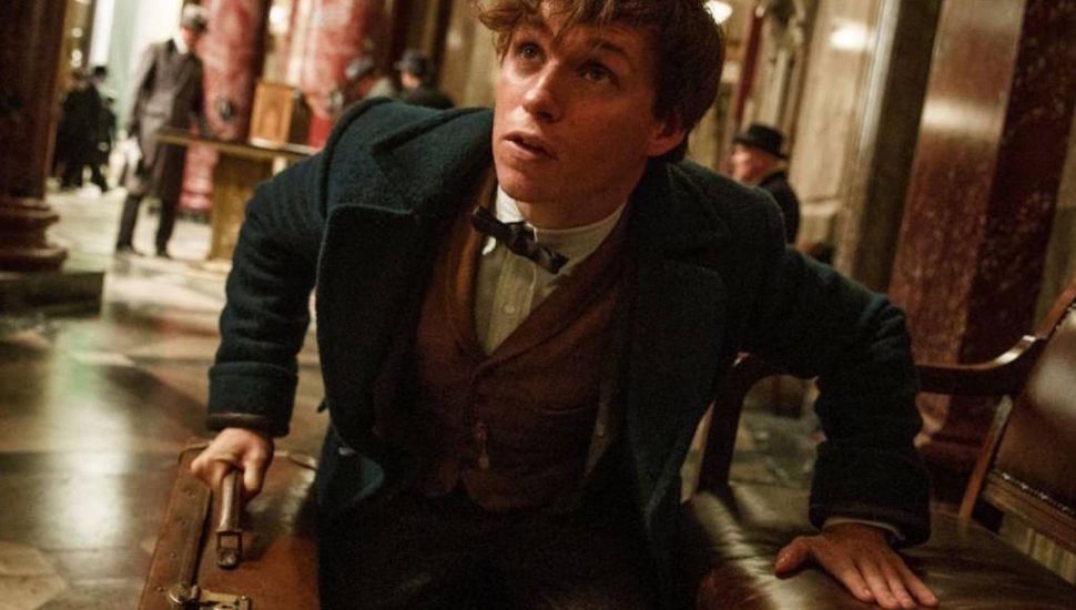 Peek Inside The Magical Briefcase in Fantastic Beasts and Where to Find ...