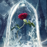 BeautyAndTheBeast577e6c66dc01c.png