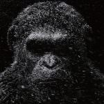 war-for-the-planet-of-the-apes-APES_Digital_V1_rgb 2.jpg