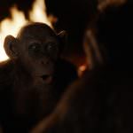 war-for-the-planet-of-the-apes-GAH0030_v162.1206_rgb.jpg