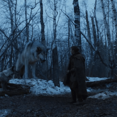 What Does Arya's Reunion With her Direwolf Nymeria Mean for Game of ...