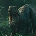 Velociraptor Blue in "Jurassic World: Fallen Kingdom." When the island's dormant volcano begins roaring to life, Owen and Claire mount a campaign to rescue the remaining dinosaurs from this extinction-level event. Welcome to "Jurassic World: Fallen Kingdom." Photo Credit: Universal Studios and Amblin Entertainment, Inc. and Legendary Pictures Productions, LLC.