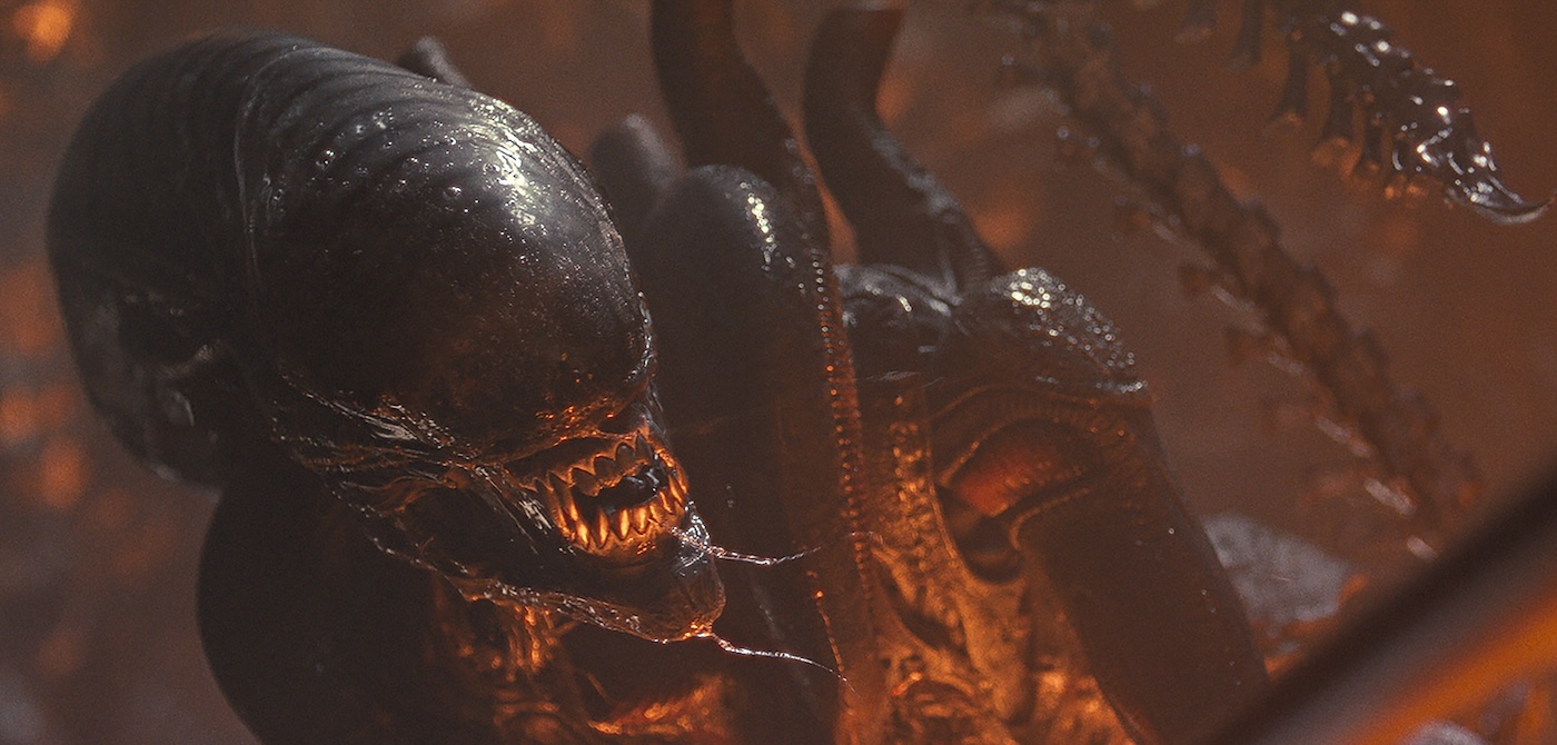 Images from “Alien: Romulus” show a final look at the legendary Xenomorph, the meanest monster in cinema history